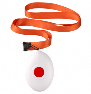 ape-160_fullsize_distr-470x481