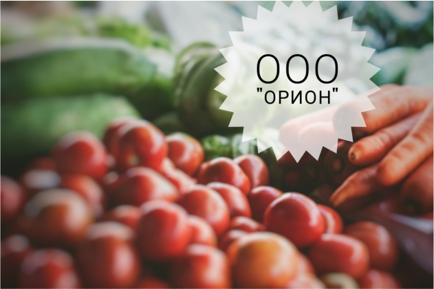 Комплексный подход к автоматизации магазинов в небольших населенных пунктах